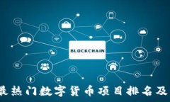   2023年最热门数字货币项目排名及深度解析