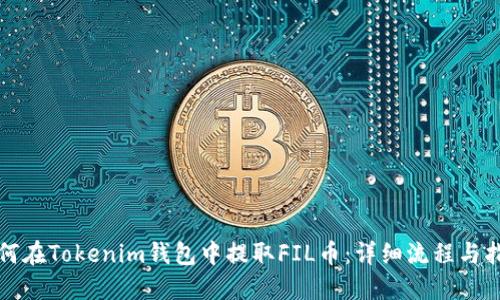 如何在Tokenim钱包中提取FIL币：详细流程与指南