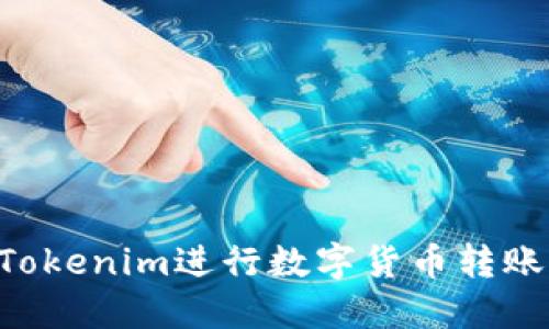 如何使用Tokenim进行数字货币转账：详细指南